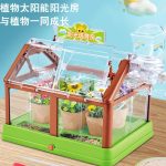 گلخانه بزرگ با آبیاری اتوماتیک